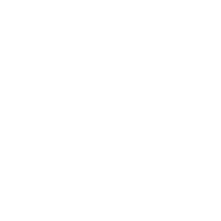 Vehículos de nueva energía